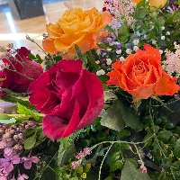 Peter Mjeldheim  Schreiner