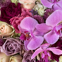 Jan Henrik  Nergaard